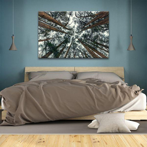 Pine Trees Bottom View 1 Panel Canvas Wall Art Bedroom