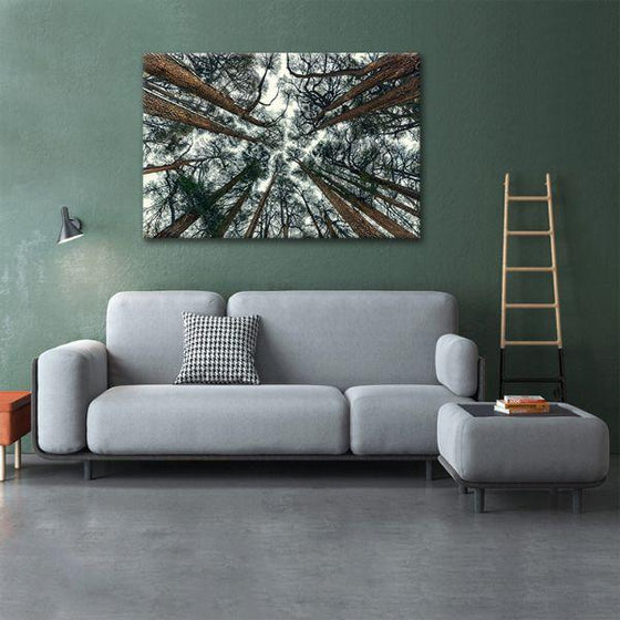 Pine Trees Bottom View 1 Panel Canvas Wall Art Decor