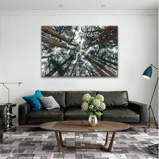 Pine Trees Bottom View 1 Panel Canvas Wall Art Office