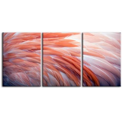 Pink Flamingo Feathers 3 Panels Canvas Wall Art