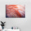 Pink Flamingo Feathers Canvas Wall Art Print