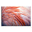 Pink Flamingo Feathers Canvas Wall Art