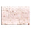 Pink Marble Abstract Canvas Wall Art