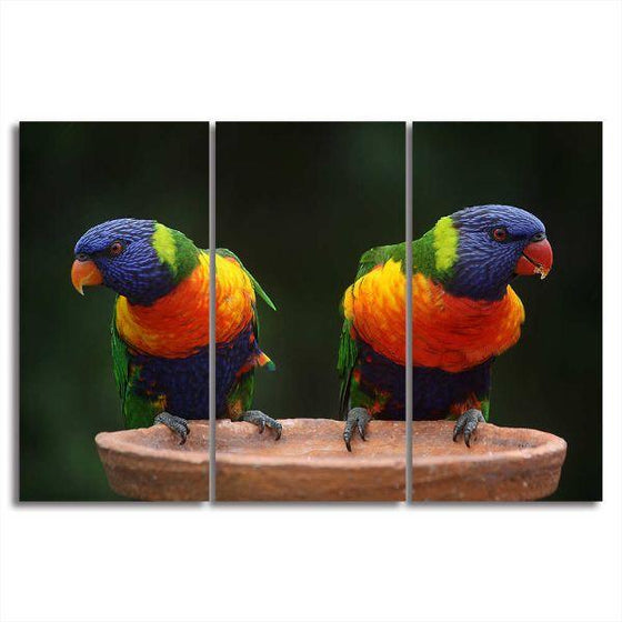 Rainbow Lorikeet Parrots 3 Panels Canvas Wall Art