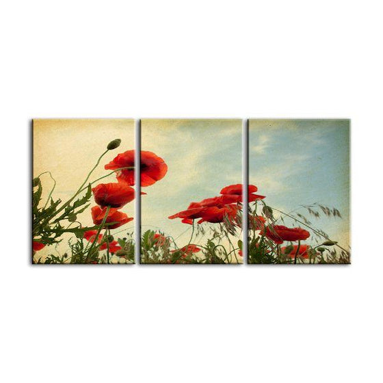 Red Poppy Flowers 3 Panels Canvas Wall Art