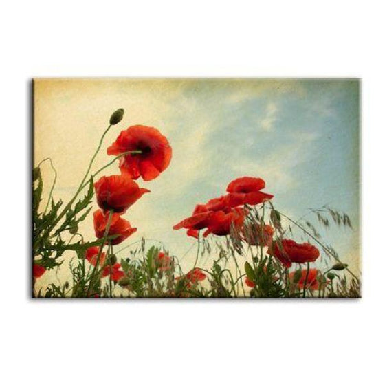Red Poppy Flowers Canvas Wall Art