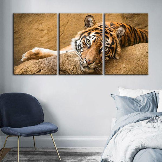 Relaxed Wild Tiger 3 Panels Canvas Wall Art Bedroom