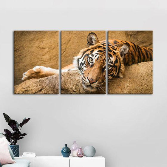 Relaxed Wild Tiger 3 Panels Canvas Wall Art Decor