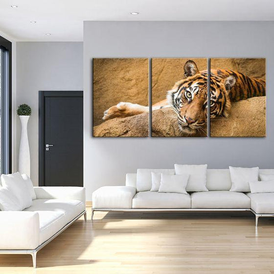 Relaxed Wild Tiger 3 Panels Canvas Wall Art Living Room