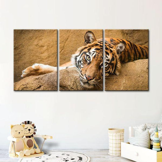 Relaxed Wild Tiger 3 Panels Canvas Wall Art Set
