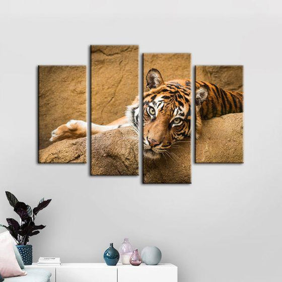 Relaxed Wild Tiger 4 Panels Canvas Wall Art Decor