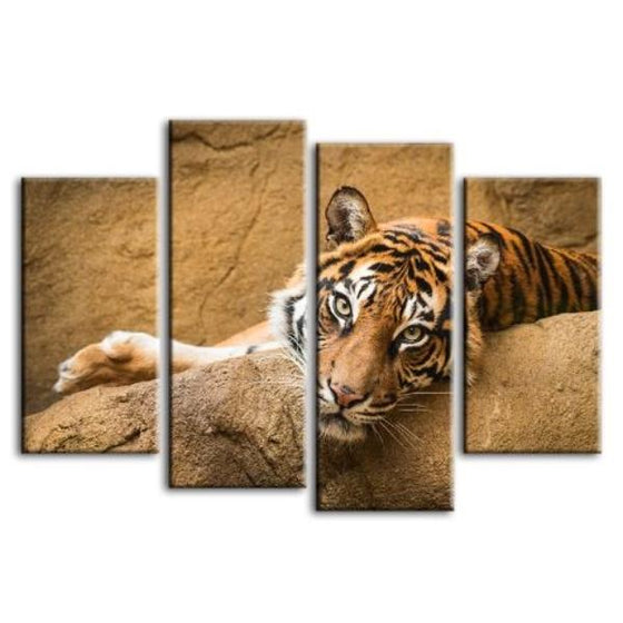 Relaxed Wild Tiger 4 Panels Canvas Wall Art