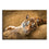 Relaxed Wild Tiger Canvas Wall Art