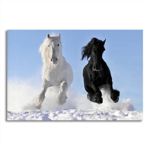 Running White & Black Horses Canvas Wall Art
