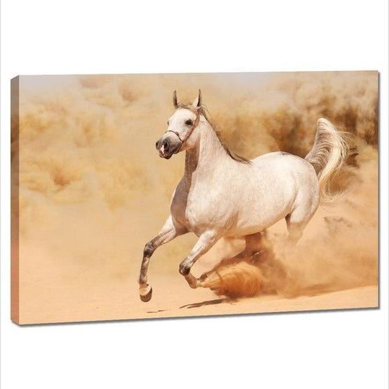 Running White Horse Canvas Wall Art Decor