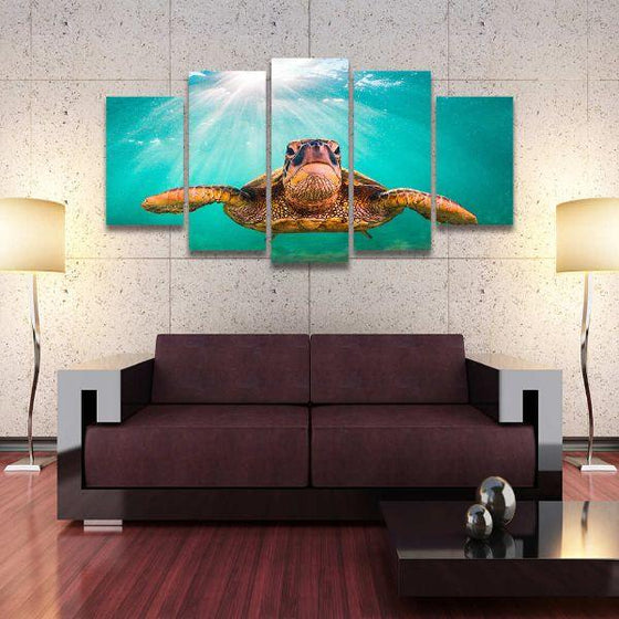 Sea Turtle's Aquatic Life 5 Panels Canvas Wall Art Living Room