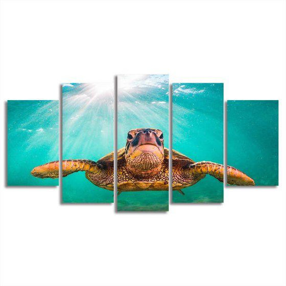 Sea Turtle's Aquatic Life 5 Panels Canvas Wall Art