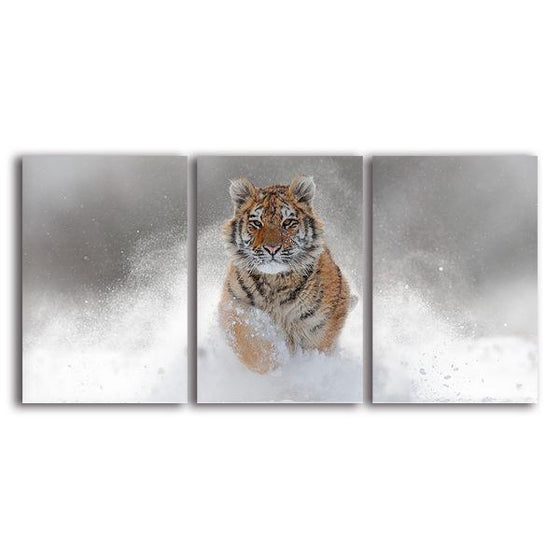 Siberian Tiger 3 Panels Canvas Wall Art