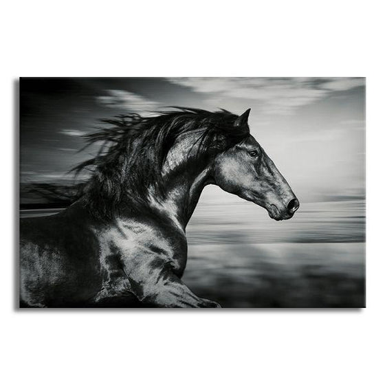 Side View Of Running Horse Canvas Wall Art