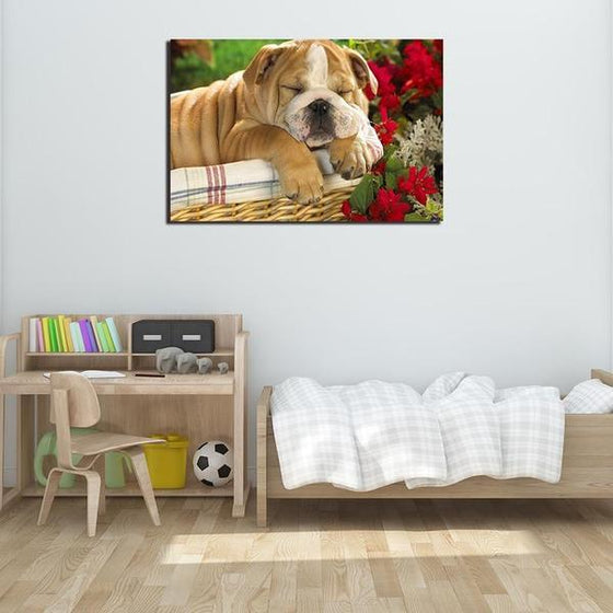 Sleeping French Bulldog Canvas Wall Art Bedroom