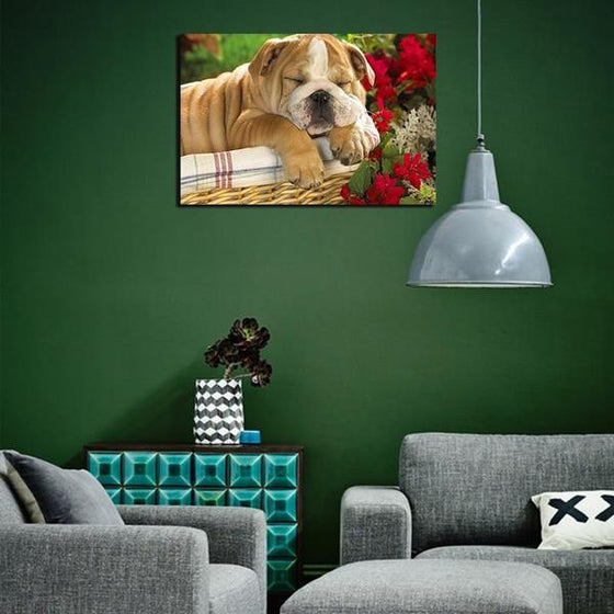 Sleeping French Bulldog Canvas Wall Art Print