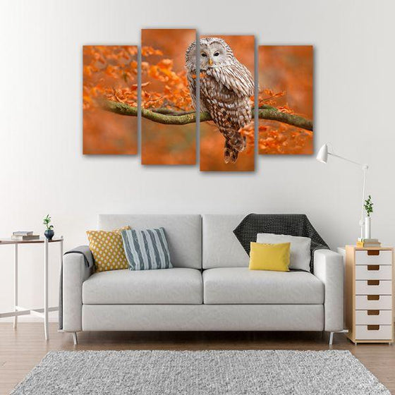 Sleepy Wild Owl 4 Panels Canvas Wall Art Living Room