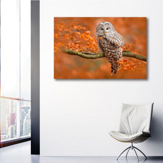 Sleepy Wild Owl Canvas Wall Art Print
