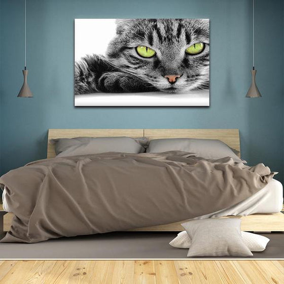 Striking Cat Eyes Canvas Wall Art Bedroom