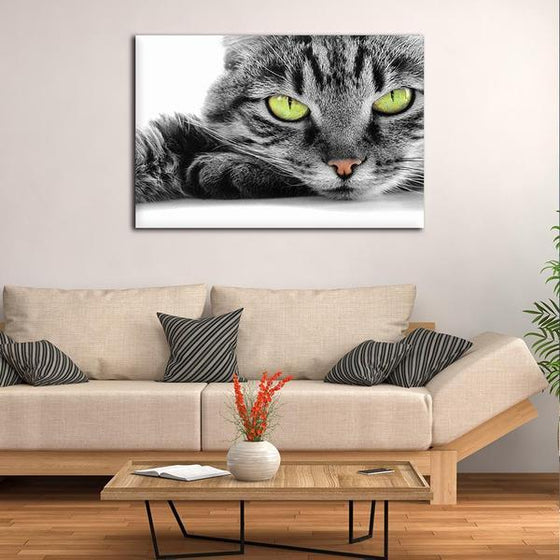 Striking Cat Eyes Canvas Art