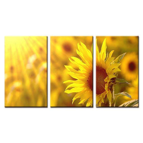 Sunflower And Sunshine Wall Art