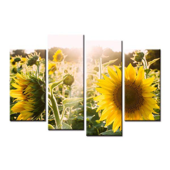 Sunflower And Sunshine Canvas Wall Art