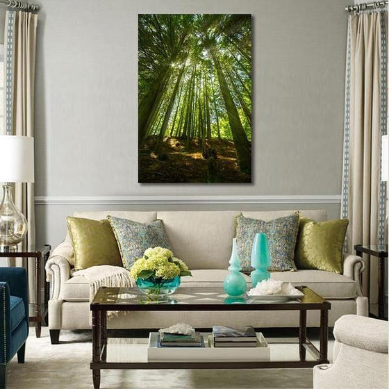 Sunlight And Tall Trees Wall Art Canvas