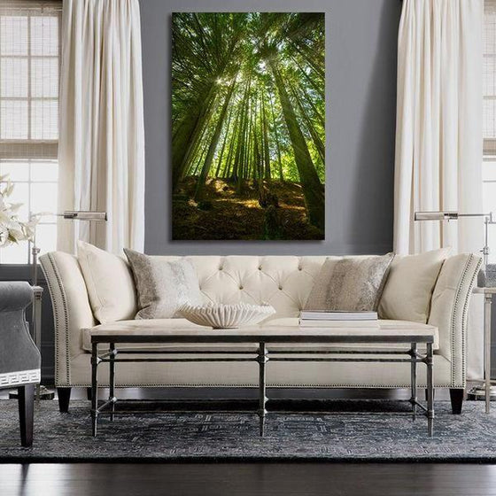 Sunlight And Tall Trees Wall Art Living Room