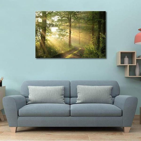 Sunlight Through The Forest Wall Art Print