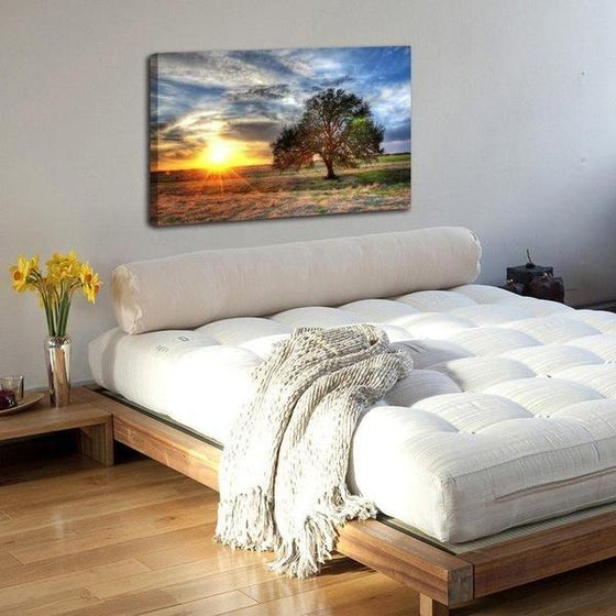 Sunrise And A Solitary Tree Wall Art Bedroom