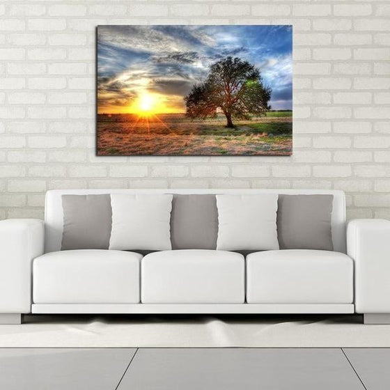 Sunrise And A Solitary Tree Wall Art Decor