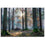Sunrise In The Woods Wall Art Canvas