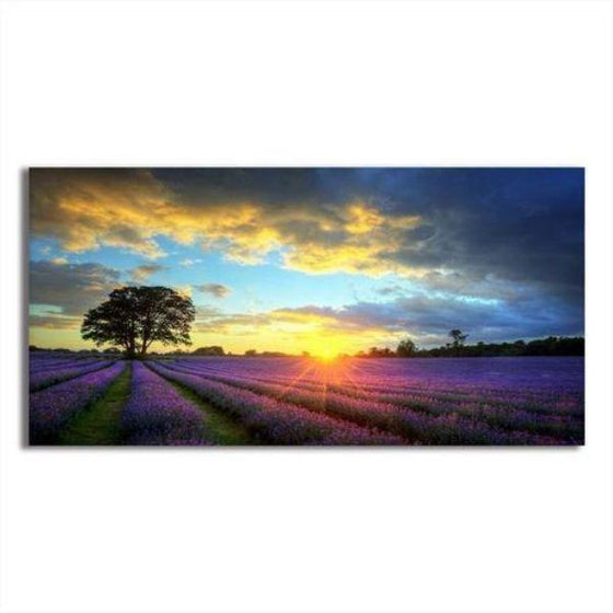 Sunrise View In A Lavender Field Canvas Wall Art