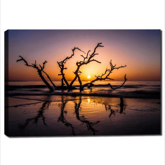 Sunrise With Tree Branches Wall Art