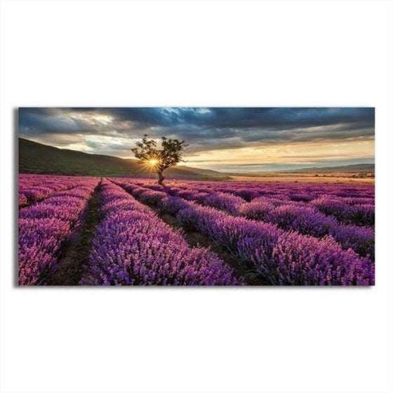 Sunset View With Lavender Field Canvas Wall Art