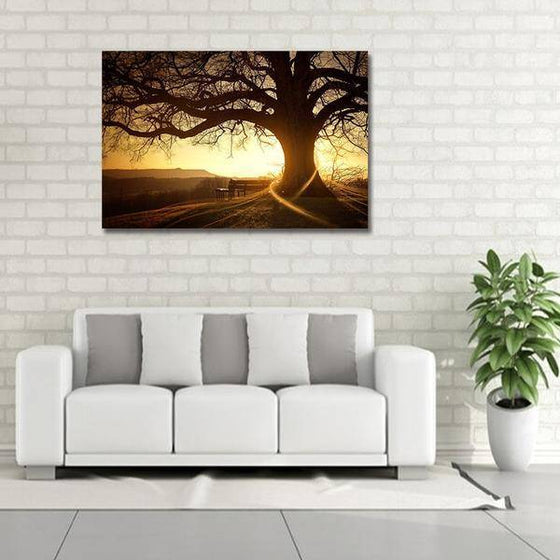 Sunset With Old Tree Wall Art Decor