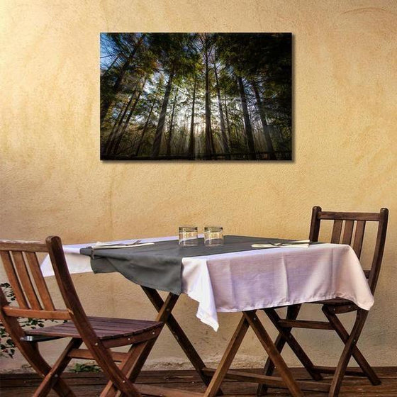 Sunshine Through Tall Trees Wall Art Dining Room