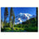 Tall Trees And Snowy Mountain Wall Art Canvas