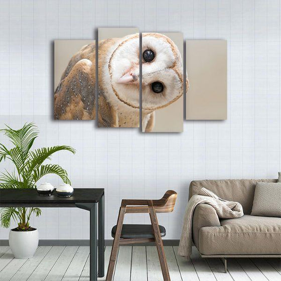 Tilting Inquisitive Owl Canvas Wall Art Kitchen