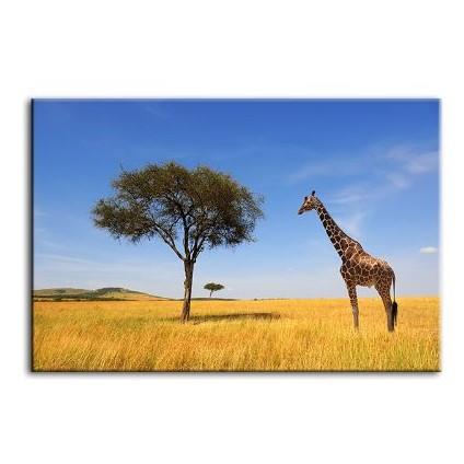 Tree & Giraffe In Africa Canvas Wall Art