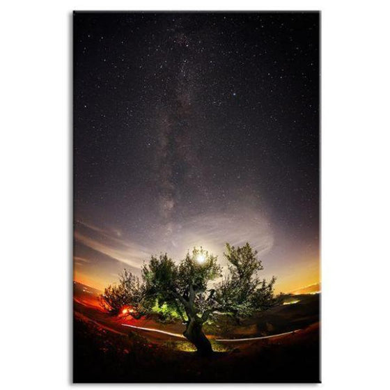 Tree & Starry Night Sky Canvas Wall Art