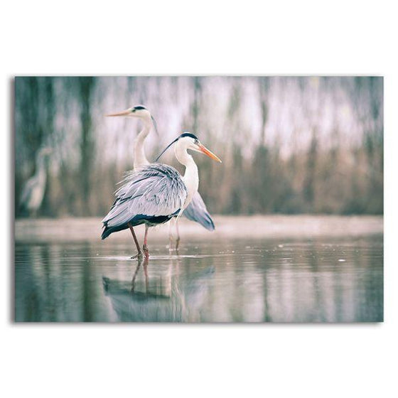 Two Blue Herons 1 Panel Canvas Wall Art