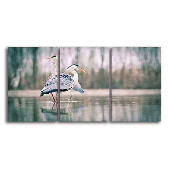 Two Blue Herons 3 Panels Canvas Wall Art