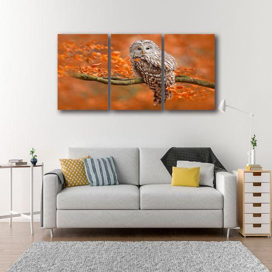 Ural Owl On A Trunk Canvas Wall Art Living Room