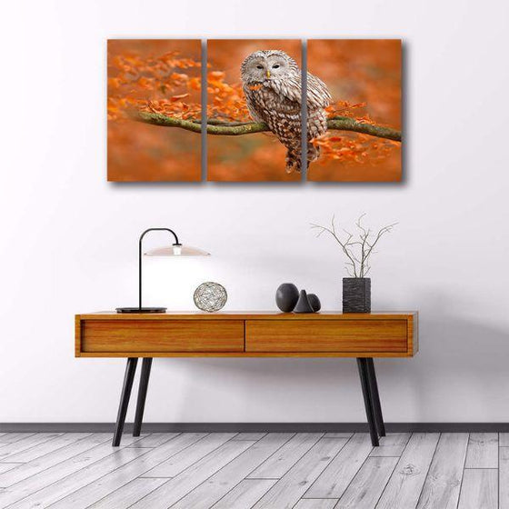 Ural Owl On A Trunk Canvas Wall Art Office